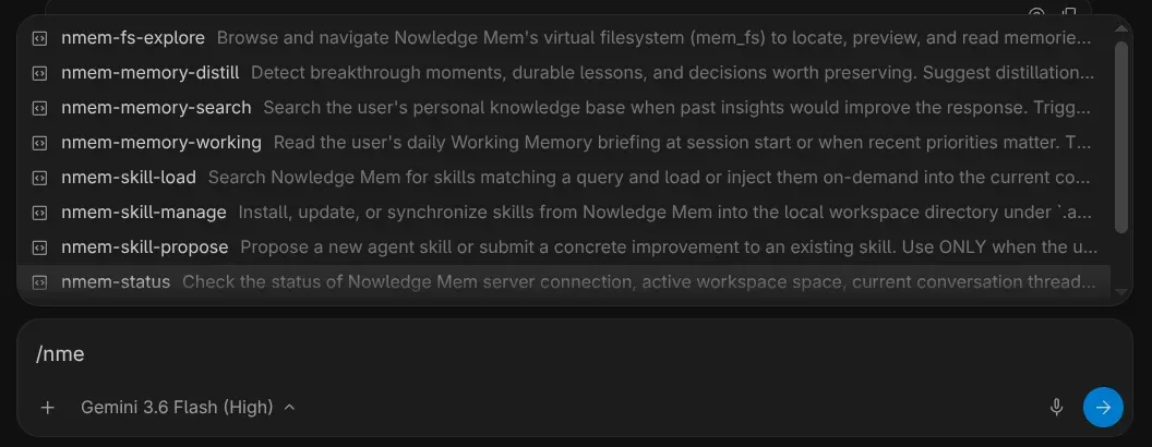 Global plugin skills available in any Antigravity conversation